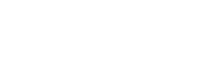 Logo Netmotors